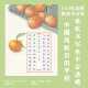 秋日小清新A4书法作品作品纸书写纸国风水彩风田字格国展 40格
