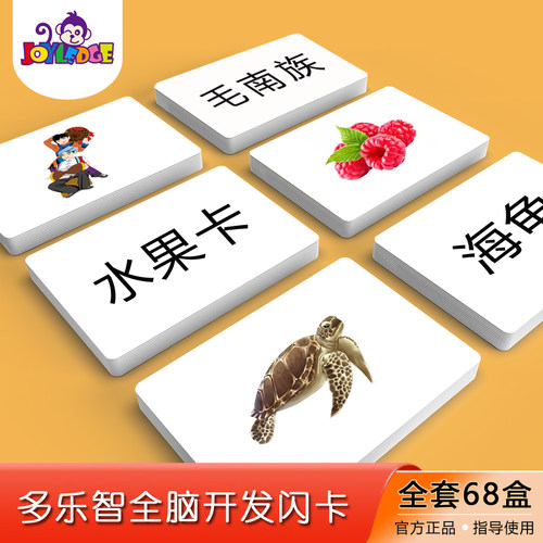 多乐智全脑开发闪卡早教认知卡片