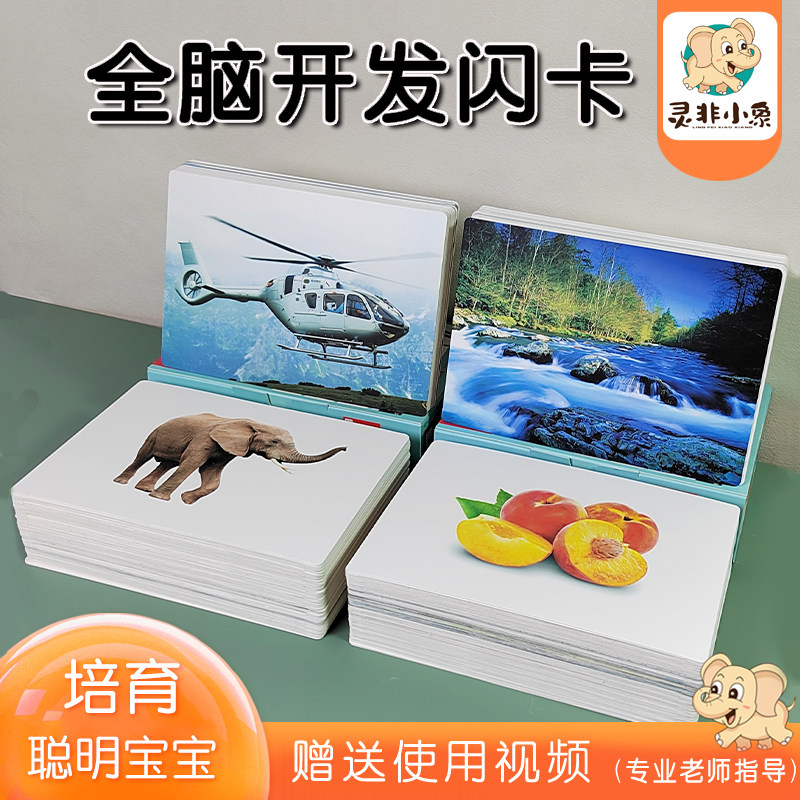 灵非小象宝宝幼儿识字卡片蒙氏早教语言认知卡杜曼百科知识闪卡