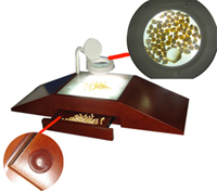 种子净度分析台TJD-900  种子净度观察台 种子净度检验台