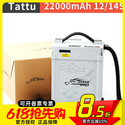 ACE格氏雨燕PRO智能锂电池