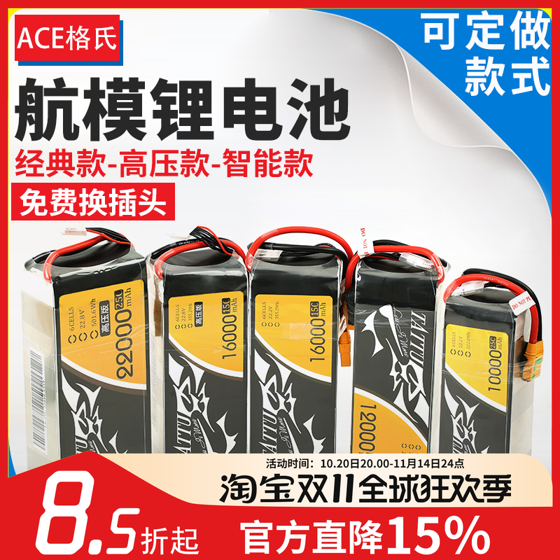 ACE格氏+多种型号6S锂电池航模