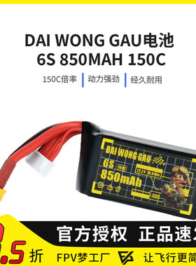 DAI WONG GAU大黄狗150C lipo锂电池560 650 850mah 6S 22.2V FPV