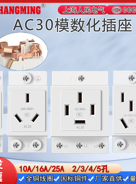 人民电气 AC30多功能模数化插座 3孔三插10A-16A配电箱导轨式插座