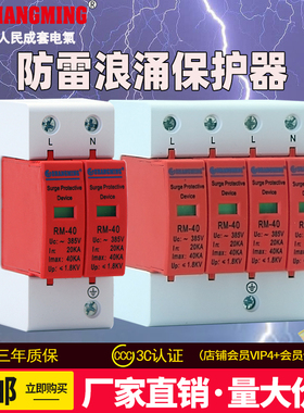 上海人民浪涌保护器单相光伏2P家用电源防雷器三相4P40KA避雷开关