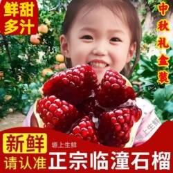 陕西临潼石榴当季新鲜水果5红斤西安软籽甜石榴特大果礼盒装整箱