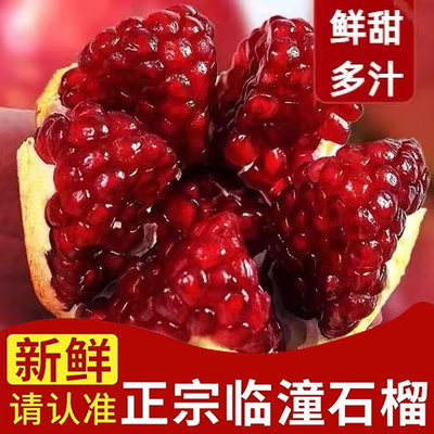 正宗陕西临潼石榴，酸甜可口