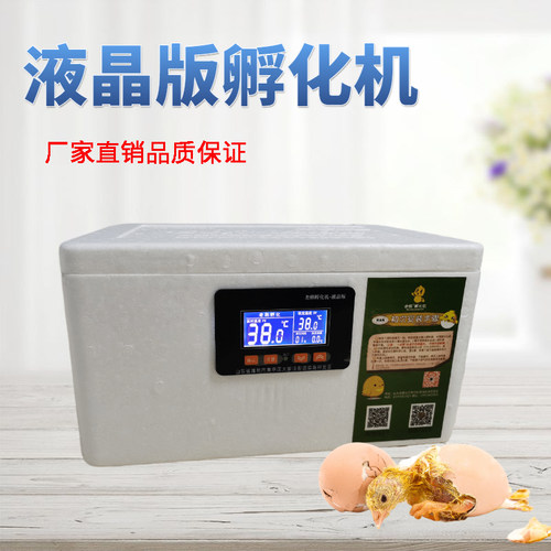 水床孵化机家用型鹦鹉孵化器