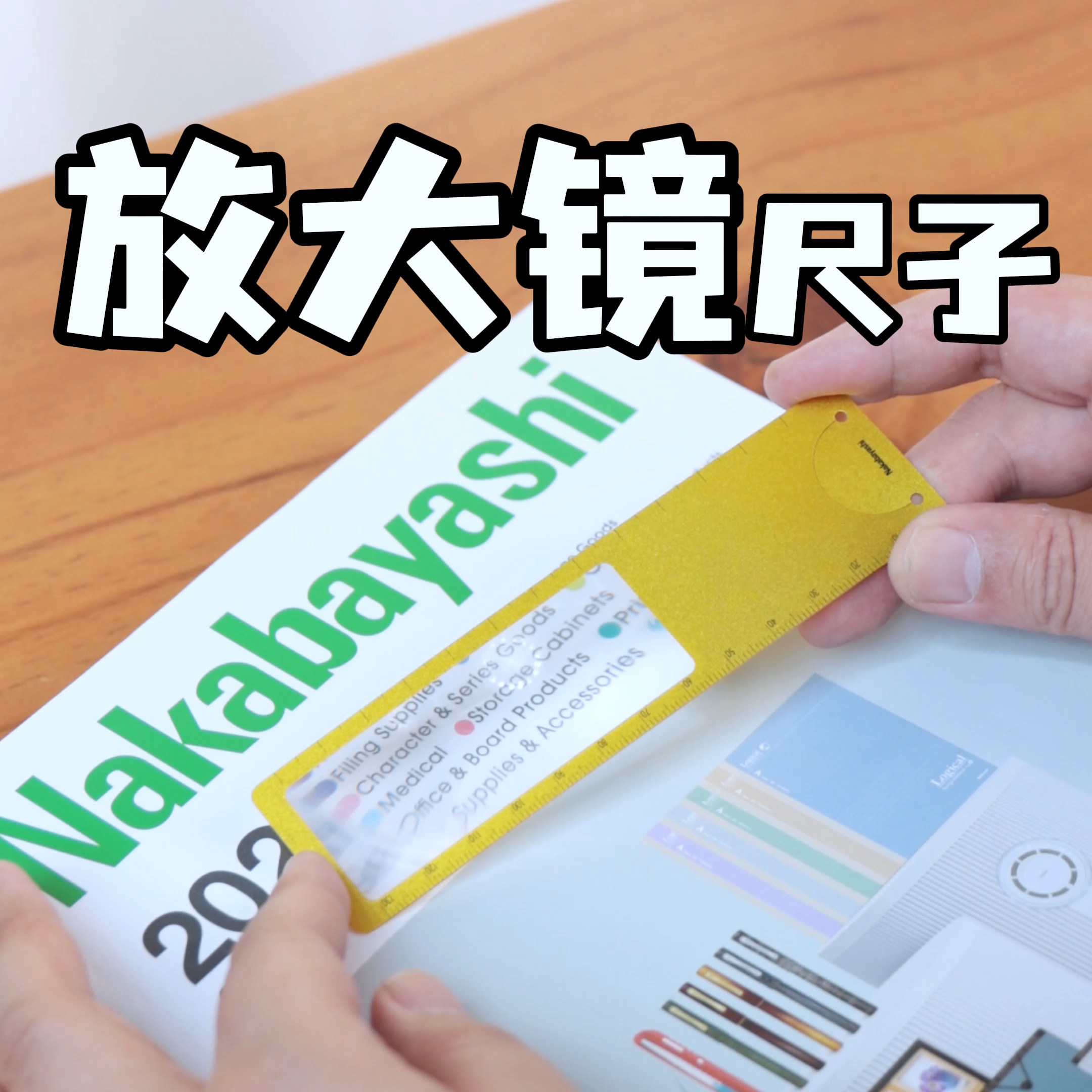 nakabayashi仲林 日本放大镜尺子多功能学生做直尺书签高清便携,文具电教/文化用品/商务用品,制图/测绘套装,淘宝优惠券,粉丝福利购,淘宝优惠卷
