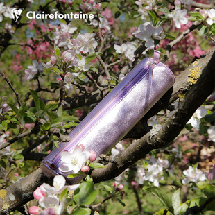 法国克莱方丹CUIRISE系列金属色系简约纯色柔软真羊皮大容量笔袋