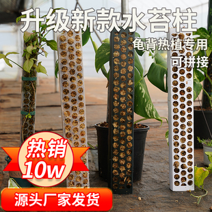 水苔柱龟背竹专用支撑杆热值爬藤立柱气生根套管支架导管拼接延长