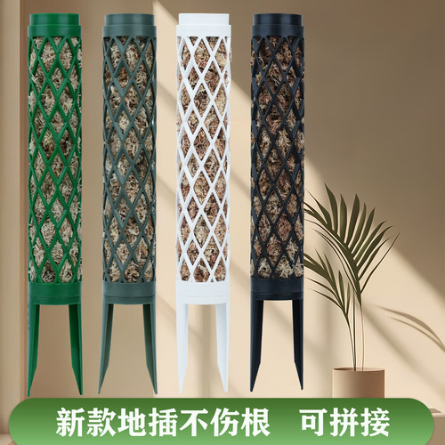 水苔柱龟背竹爬藤支架