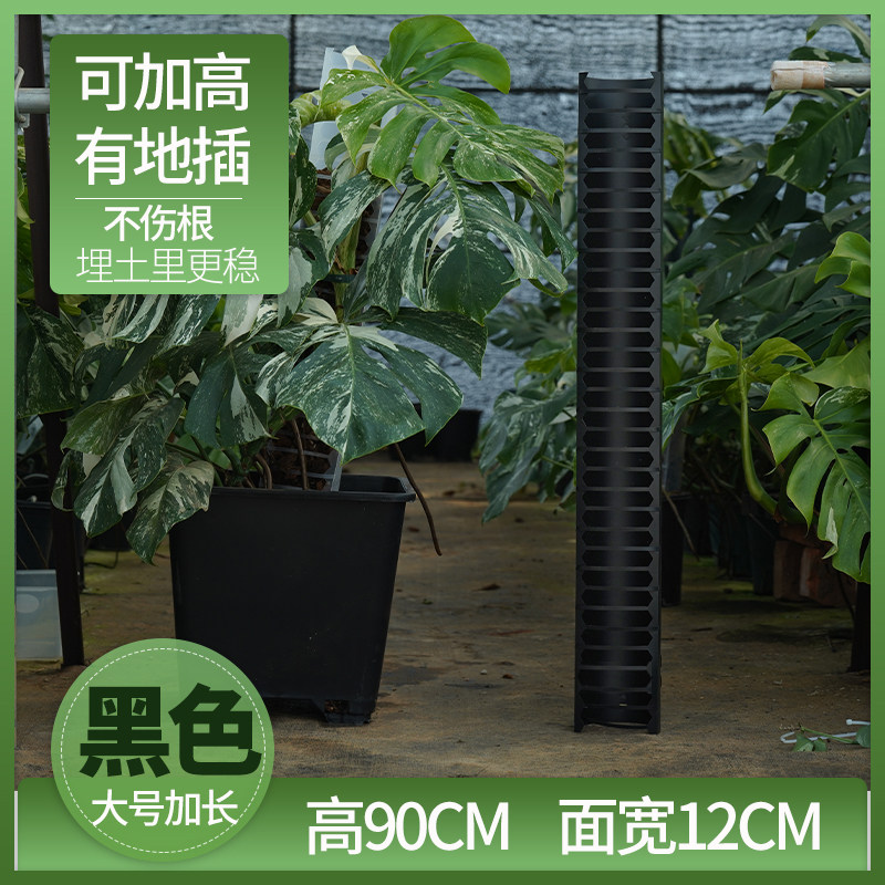 沃木达水苔柱龟背竹爬藤墙植物固定热植附生植物攀爬柱新型水台柱