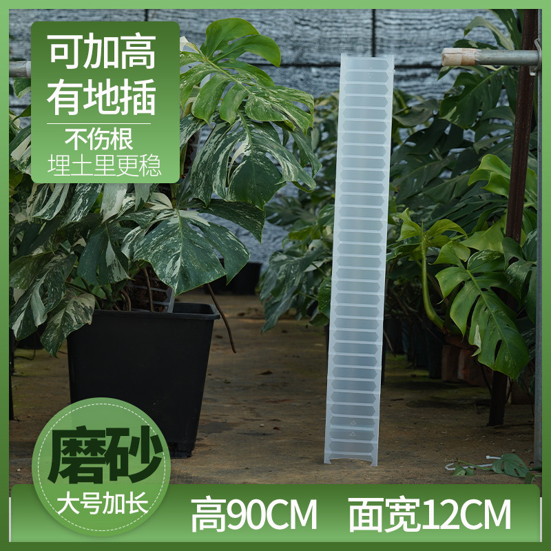 沃木达水苔柱龟背竹爬藤墙植物固定热植附生植物攀爬柱新型水台柱