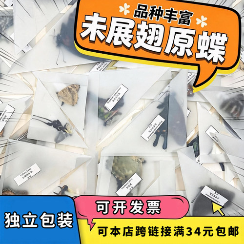 未展翅原蝶三角袋包装手工原材料