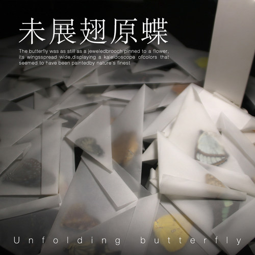 未展翅原蝶三角袋包装手工原材料