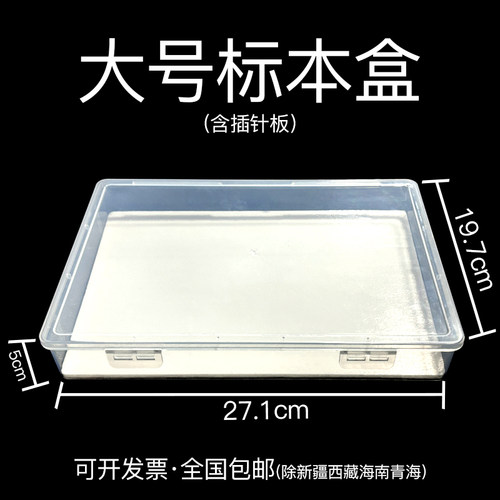 透明昆虫标本盒蝴蝶蜻蜓昆虫