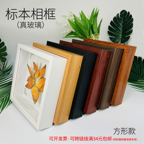 标本真玻璃相框蝴蝶标本昆虫装裱