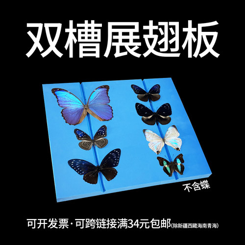 超大号固定双槽展翅板高密度EVA