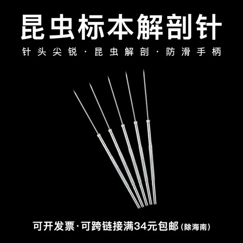 昆虫标本解剖针生物实验探针工具