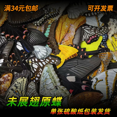 未展翅原蝶三角袋包装手工原材料
