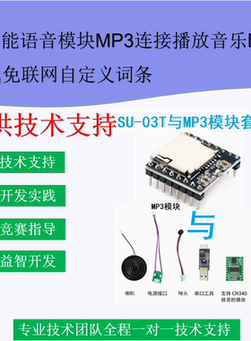 AI智能语音模块MP3连接播放音乐DIY 离线免联网自定义词条