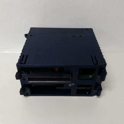 CPC210  巴赫曼 模块现货一个16MB 一个 -8MB