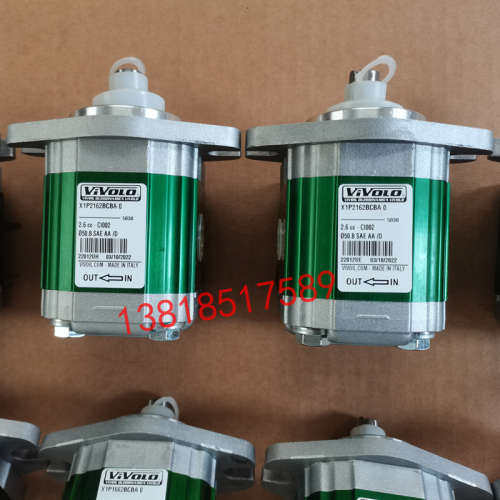 VIVOIL VIVOLO维沃尔意大利高压齿轮泵X1P2901FBBA X1P3101FBBA