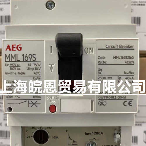 AEG德国正品 FDN46TG080GD 100GD 125GD 160GD FDN46TG系列断路器