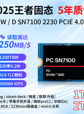 WD/西部数据 SSD SN7100 2230固态硬盘2T华硕幻X pro11相机Z9CFE