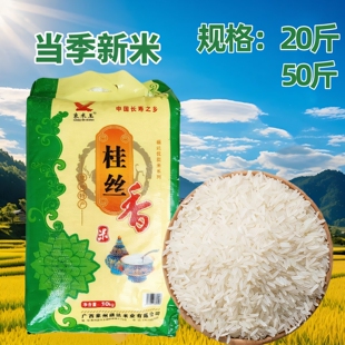 广西象州大米长寿乡桂丝香米20斤/50斤长粒新米农家米精品丝苗米