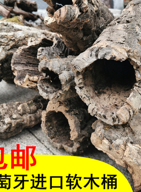大灰狼葡萄牙软木香槟树皮爬宠箱爬虫箱天然树洞造景躲避雨林缸