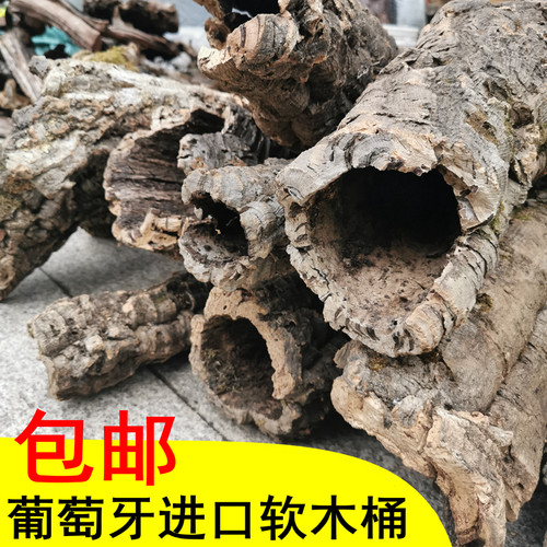 天然软木板树洞躲避造景榆林缸