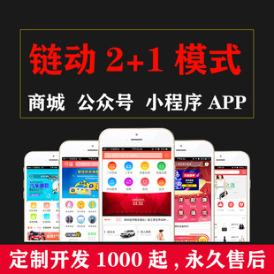 实体公司直推三级分销推3返1链动2+1公众号小程序H5商城APP系统