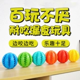 Утечка для любимой собаки игрушка с мячом, мудрость, укус золотые волосы, золотые волосы, Corki Unite щенки