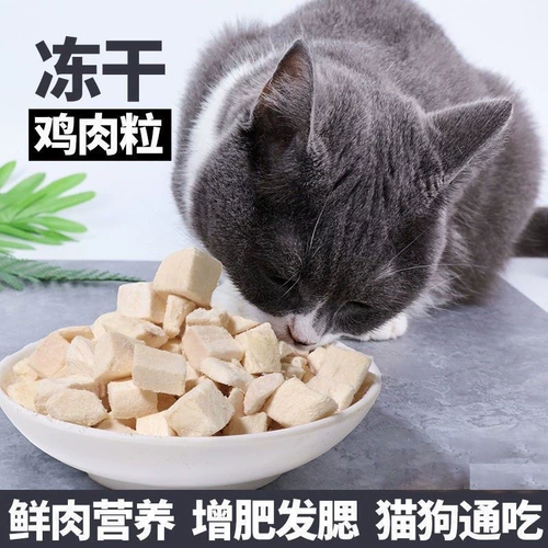 Замороженные куриные зерновые закуски для домашних животных кот, жиры, щеки, щеки, замороженные сушеной яйца, питание, питание, питание