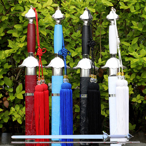 煌龙太极剑晨练太极武术