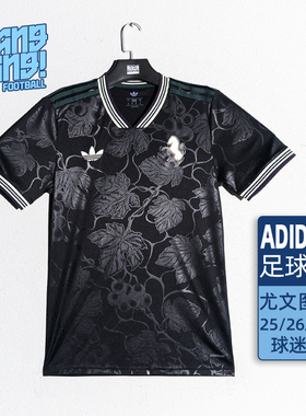 棒棒:ADIDAS阿迪达斯25/26尤文图斯第二客场球迷版足球服男KC3486