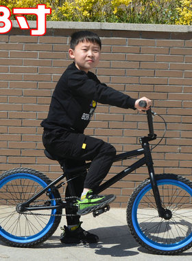 HARO工厂代工18寸BMX小轮车 表演车学生用街车