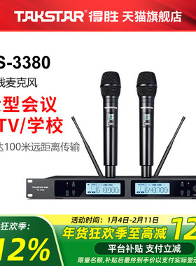 Takstar/得胜TS-3380无线麦克风卡拉ok家用话筒演讲K歌一拖二话筒