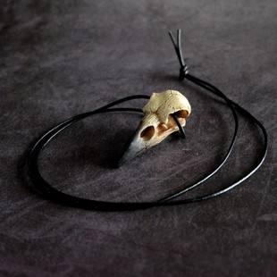 鸟头摇滚朋克哥特鹰鸟鸦髅树脂乌鸦头骨吊坠项链 V66 Alchemy A牌