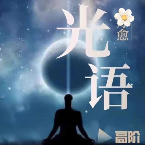 光语L愈初高阶课程视频课程