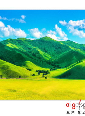 FJ01599延伸草原大树绿色护目靠山蓝天白云大树草地风景背景壁画
