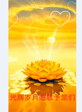 X01666佛堂诵经念佛背景墙金莲花金光普照风水画中堂供奉墙贴画