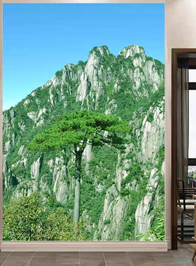 FJ01569高山靠山壁画墙画有3D山无水办公室背景画青山大山风景