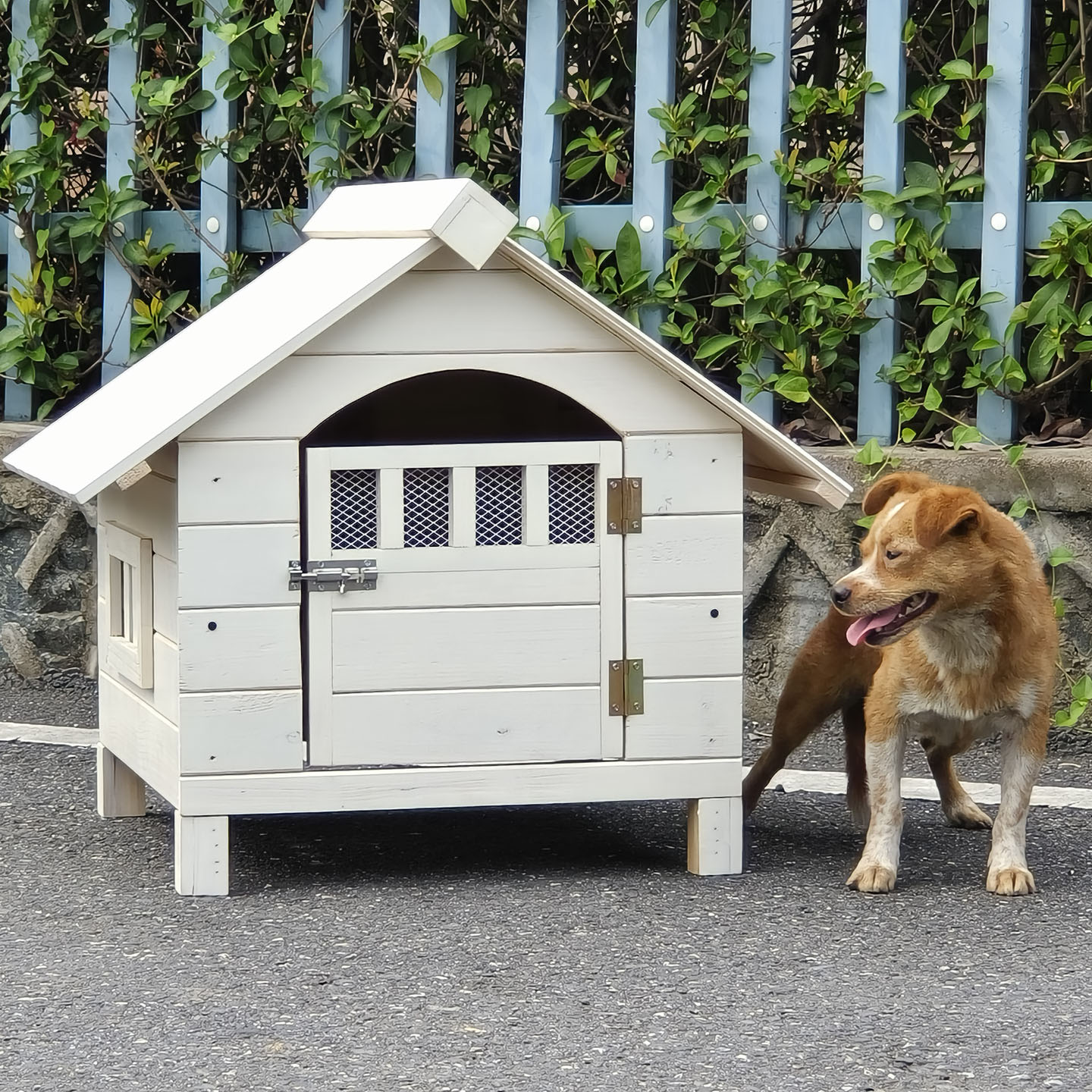 狗窝小大型犬夏季室外室内冬季