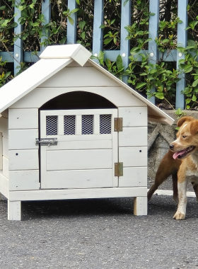 狗窝小大型犬夏季室外室内冬季