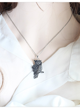 大猫头鹰项链法式女生颈链锁骨链搭配攻略毛衣链女不掉色钛钢项链
