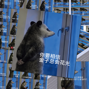 108张负鼠表情包贴纸搞笑沙雕趣味精神状态抽象热梗图diy手帐贴画