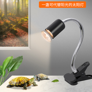 乌龟晒背灯全光谱太阳灯uvb爬虫宠物专用灯加热灯爬宠照背晒龟灯